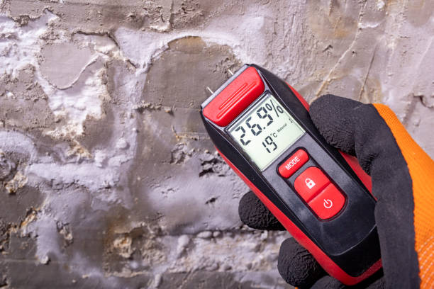 Trusted Vail, AZ Mold Removal Experts
